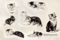 Une étude de chats buvant dormir et jouer Henriette Ronner Knip